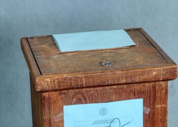 U.S Presidential Elections: Georgia Election Board Votes for Hand Count