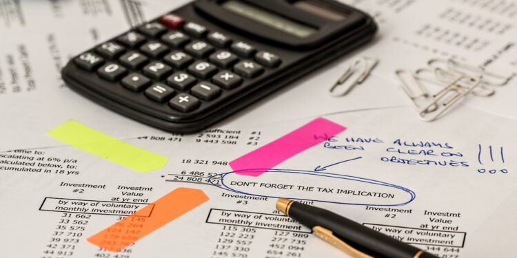 The Tax Dilemma: Can Nigeria Get it Right?