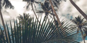 Gunshots Fired Near Trump’s West Palm Beach Golf Course