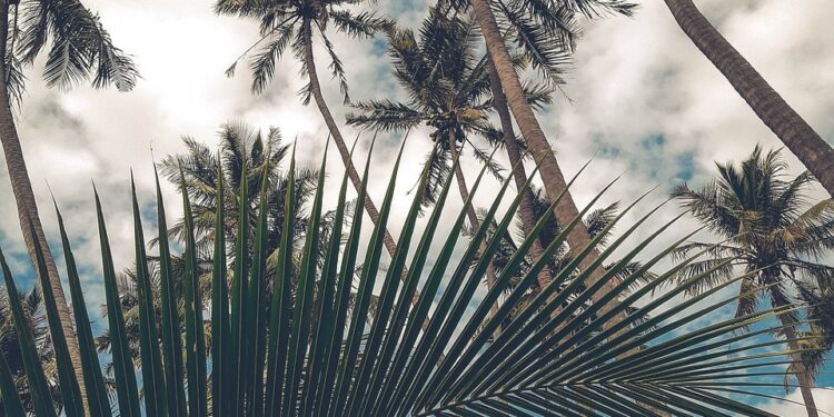 Gunshots Fired Near Trump’s West Palm Beach Golf Course