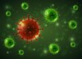 Yolk Sac Tumor: Origin, Development, Symptoms, and Causes