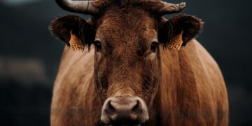 Delta Recruits 120 Officers to Manage Herder-Farmer Confrontations