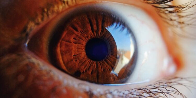 Herpes Keratitis: Types, Symptoms, Causes and Risk Factors of This Disease