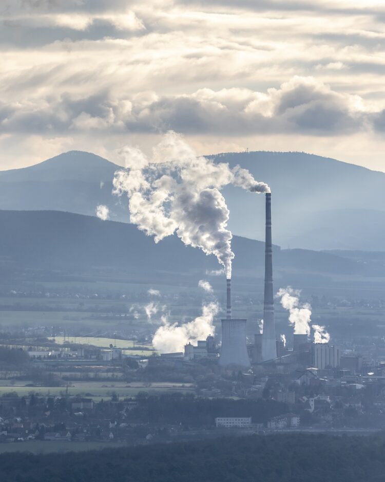 Singapore’s Carbon Credit Gamble: Offsets Over Action