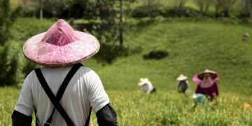 Ekiti Compensates Farmers Harmed By Road Development With N71.5 million