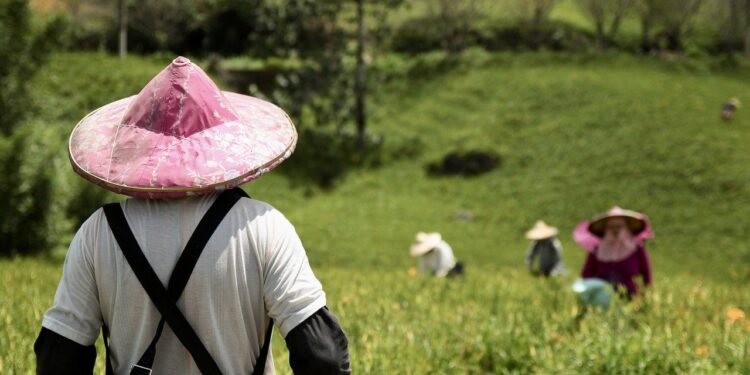 Ekiti Compensates Farmers Harmed By Road Development With N71.5 million