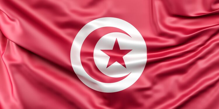Tunisia Assembly Votes to Divest Court of Electoral Authority