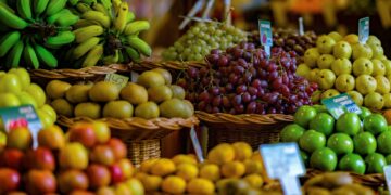 Displaced Flood Victims Protest in Maiduguri Over Shortage of Food and Relief Supplies