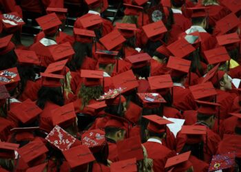 Life After University: The Brutal Reality Nobody Warned You About