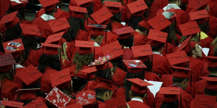 Life After University: The Brutal Reality Nobody Warned You About