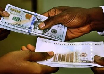 Nigerian Naira Gains 4.8% Against the Dollar Following Bond Sale