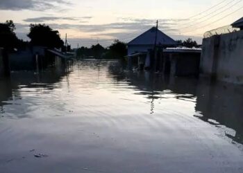 Flood Submerges Palace of Shehu of Borno and Parts of Maiduguri