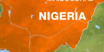 Flood Displaces Thousands in Maiduguri