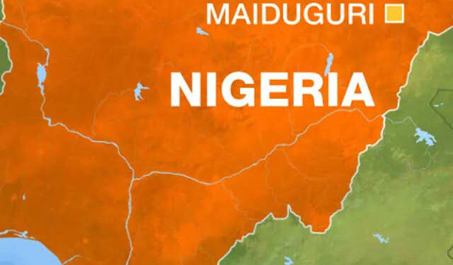 Flood Displaces Thousands in Maiduguri