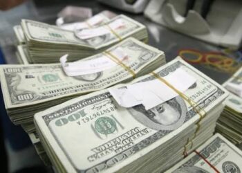 Central Bank of Nigeria Warns of Risks to External Reserves