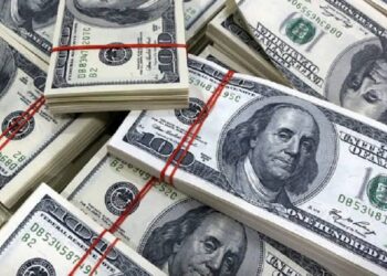 Central Bank of Nigeria Warns of Risks to External Reserves