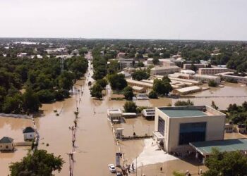 FG Sends Experts to Identify Dangerous Chemicals in Borno Flood