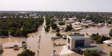 FG Sends Experts to Identify Dangerous Chemicals in Borno Flood