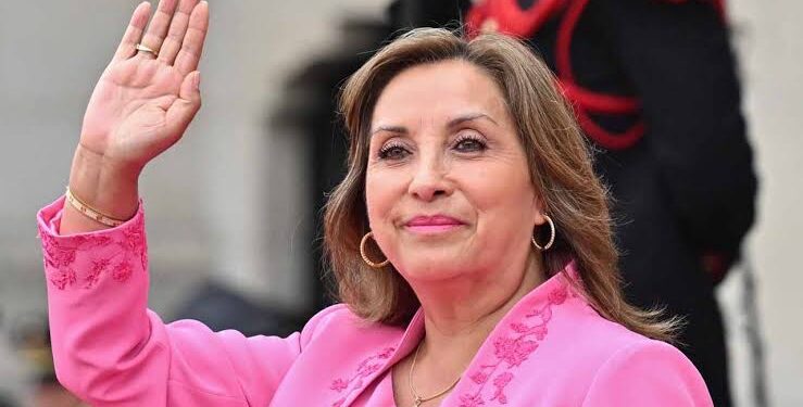 Peru’s President Declares Emergency: Too Little, Too Late for Forest Fires