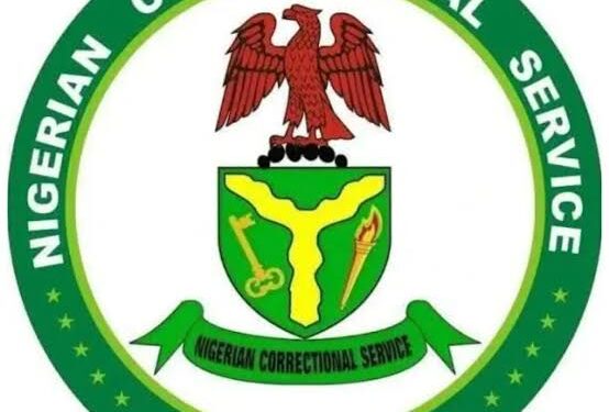 Suspended Nigerian Prison Officials Claim Ignorance: ‘I Heard It on Social Media’