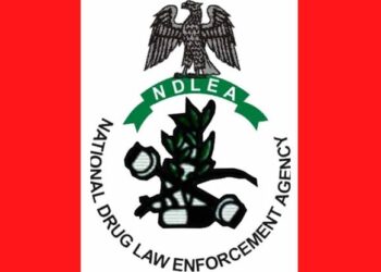 NDLEA Arrests 38-year-Old Drug Trafficking Suspect at Kano Airport