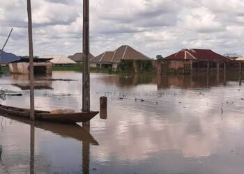 The Hydrological Agency Raises Alarm as The River Benue Rises to Flood Levels