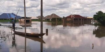 The Hydrological Agency Raises Alarm as The River Benue Rises to Flood Levels