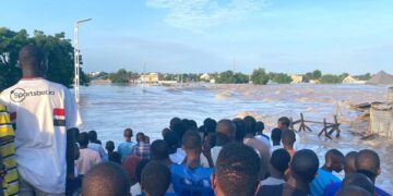 Borno: Nigerian Government Explains Cause of Maiduguri Flood