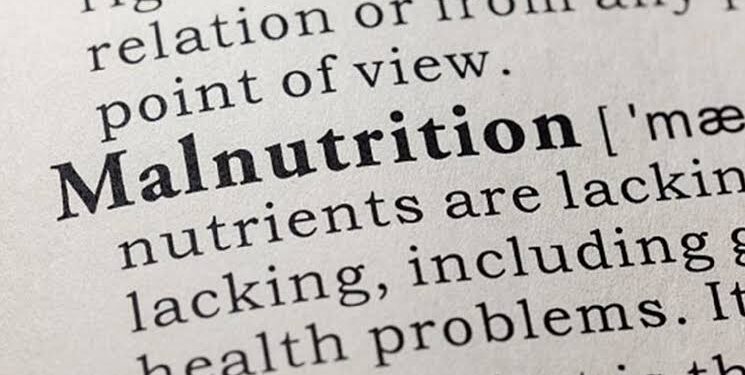 Katsina Receives N400 Million Worth of RUTF to Address Malnutrition In the State