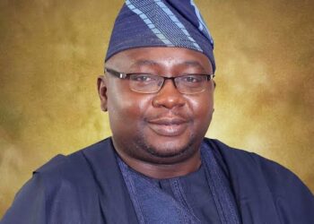 Adelabu: 40% of Nigerians Have Access to 20 Hours of Electricity Every day
