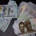 Naira Plunges N95.83 After Central Bank Raises Interest Rate