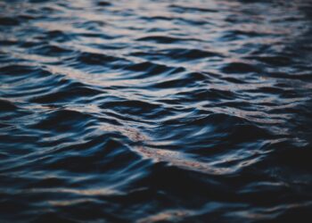 Delta Lawmaker Cries Out for Help Over Ocean Surge in Constituency