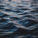 Delta Lawmaker Cries Out for Help Over Ocean Surge in Constituency