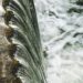 Nigerian Government Raises Alarm Over Release of Water from Cameroon Dam