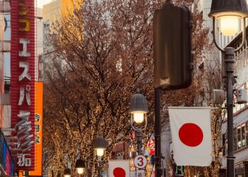 Why Japan Chose A Lone Wolf and Political Dissenter to lead its Majority Party