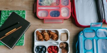 Pack and Go Lunch Tips for The New School Session