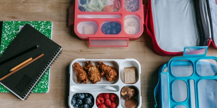 Pack and Go Lunch Tips for The New School Session