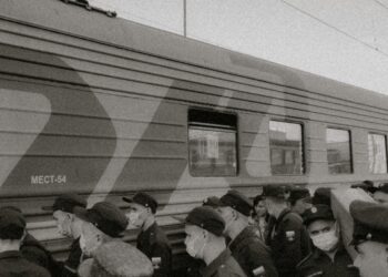 Poland Urges End to Benefits for Draft-Age Ukrainian Men in Europe