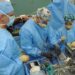 Matrixectomy: Purpose, Types, and Structure of the Affected Tissues