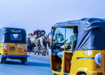 Nigeria’s Economic Growth: The Sleeping Giant That Needs to Wake Up