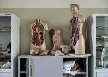 Liver Lesions: Symptoms, Causes, and Process