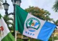 NNPP Claims Every Seat in Kano Local Government Elections