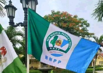NNPP Claims Every Seat in Kano Local Government Elections