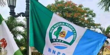 NNPP Claims Every Seat in Kano Local Government Elections