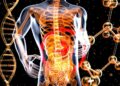 Liver Lesions: Prevention and Treatment