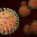 Rotavirus: Background, Symptoms, Causes, and Mode of Transmission
