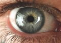 Corneal Abrasion: Function of the Cornea, Symptoms, and Causes of Corneal Abrasion