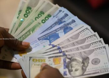 Naira Plunges to 7-Month Low in Parallel Market