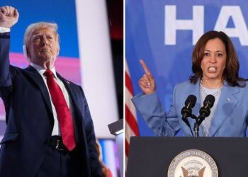 Election Countdown: Harris and Trump Neck and Neck as Voters Stay Undecided