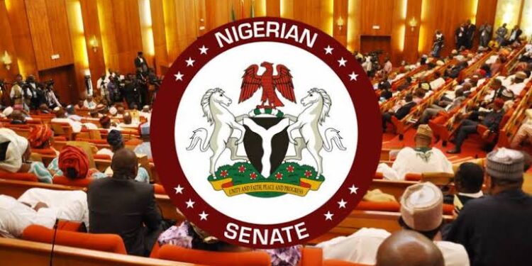 Senate Screens Tinubu’s New Ministers